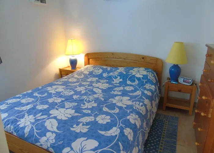 De Vertmarines * 생장드몽